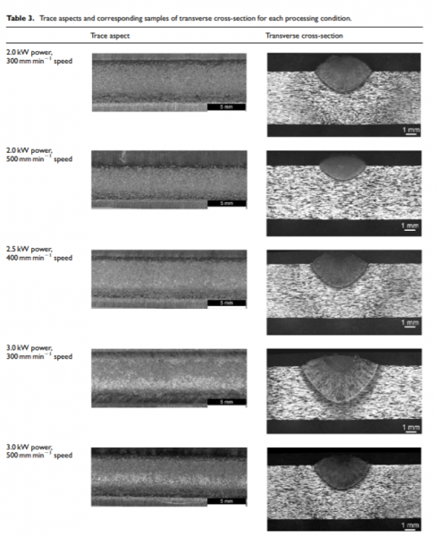 File:Transverse cross-section.png
